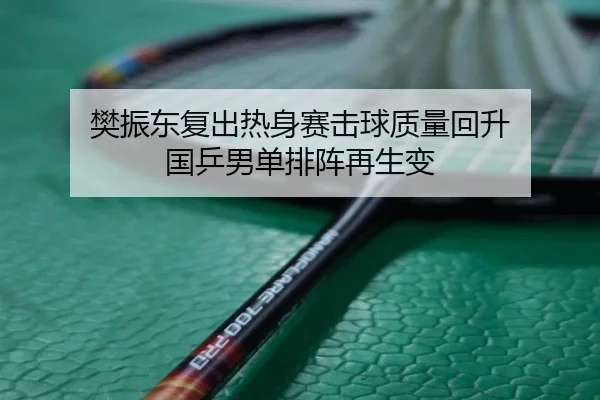 樊振东复出热身赛击球质量回升 国乒男单排阵再生变 | Milan